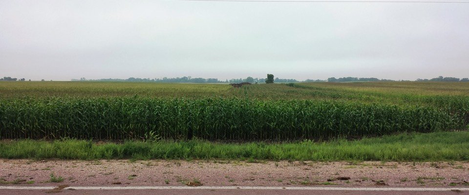 A view of the Keitzmann Massacre site in western Flora Township